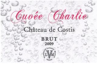 Chateau De Costis